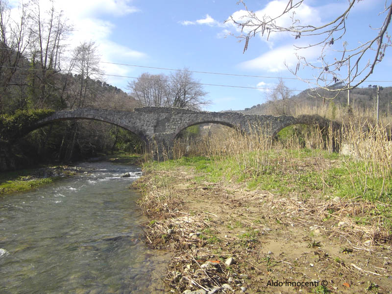 PONTE DELLA VERGININA 14